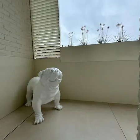 Lägenhet Neuf En Plein Centre *